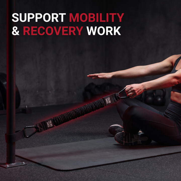 Professional Resistance Band Pull Up Assistance Bands Set Strength Training Loop Bands for Pull Ups Chin Ups Stretching Mobility Home Gym Workout Recovery Exercise
